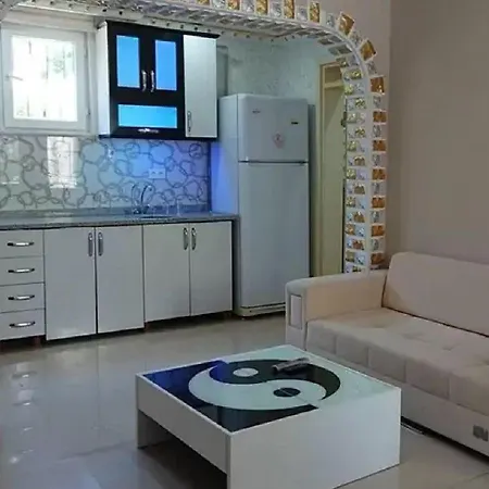 Papir 시데